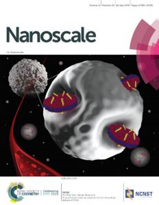 Nieh Research Group - Nanoscale - 2019